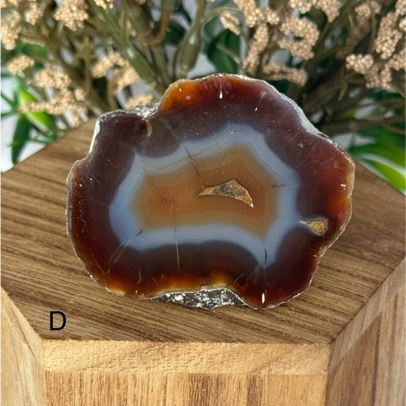 Coyamito Agate from Chihuahua Mexico - Picture 5 of 7